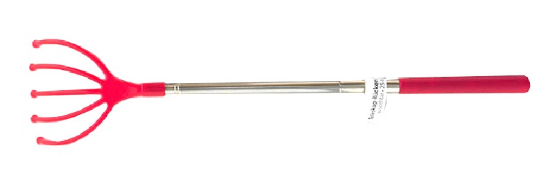 633804-2.jpg
