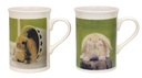 62002-1.jpg