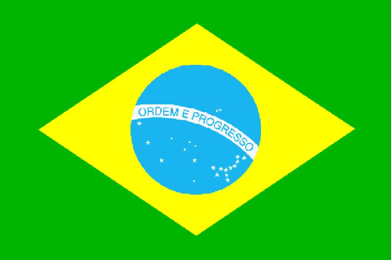 H-FL.BRASILIEN     90X150