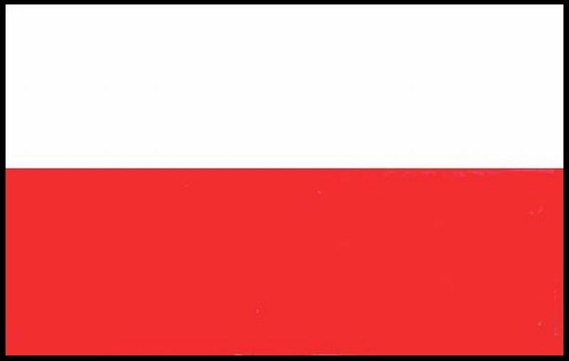 H-FL.POLEN         90X150