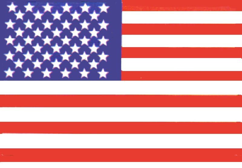 H-FL.USA           90X150