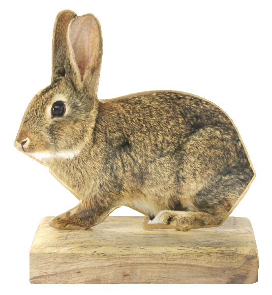 [61910] MET. HASE AUF HOLZBASIS