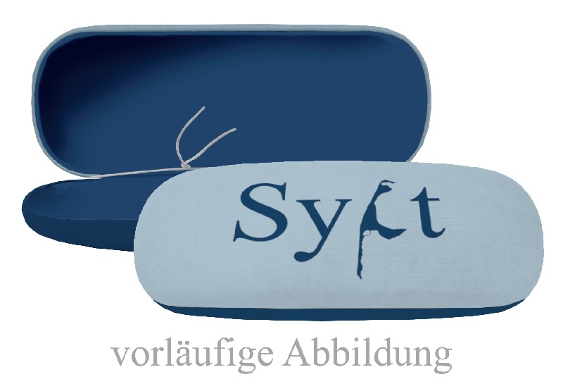 BRILLENETUI,SYLT, LOSE