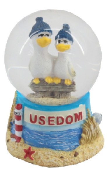 SK.MÖWE,CRAZY,2F.,USEDOM