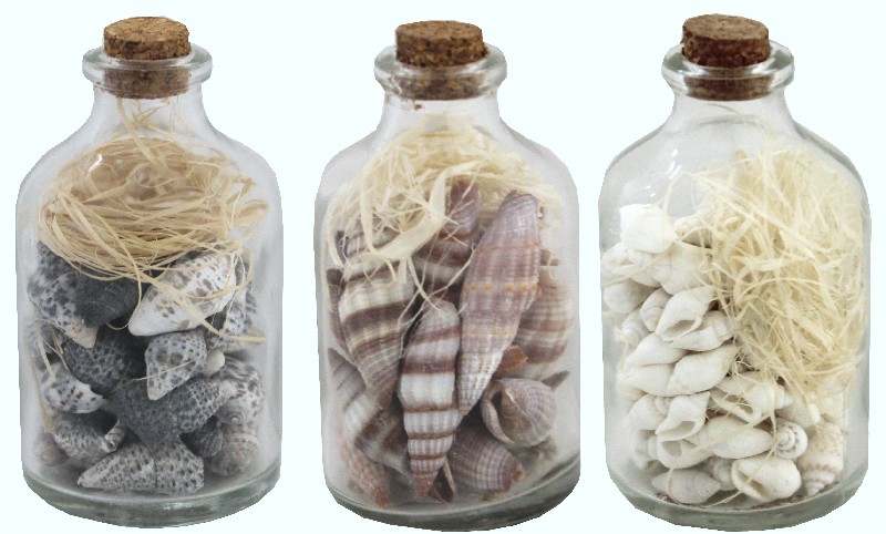 [398358] GLASFL.+MUSCHELN 7CM,3FA