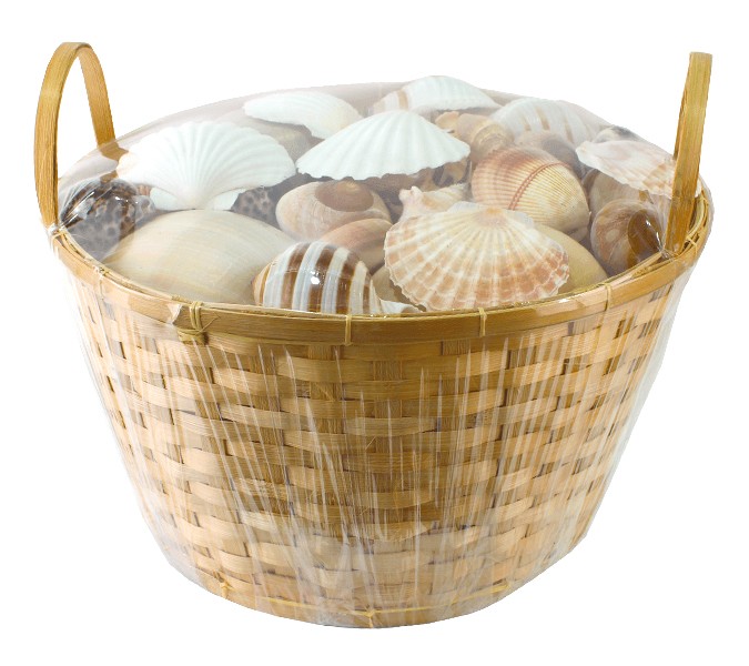 KORB MIT 60 MUSCHELN