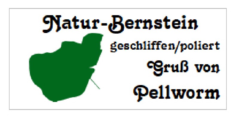 FLA.M.BERNSTEIN,PELLWORM