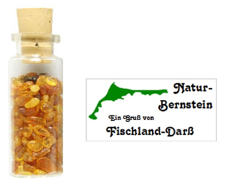 [398832] FLA.M.BERNSTEIN,FISCHLAND