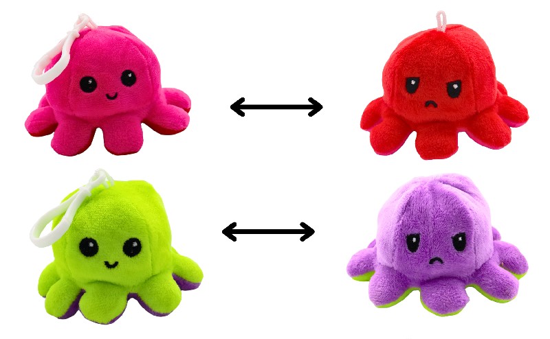 PL.OKTOPUS/WENDE,SCHL-ANH