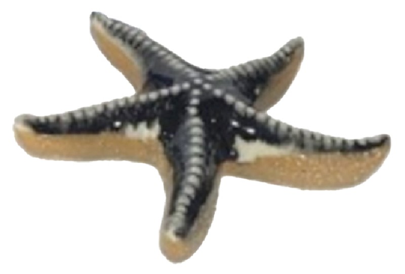 SEESTERN,GRAU 12X11X2CM