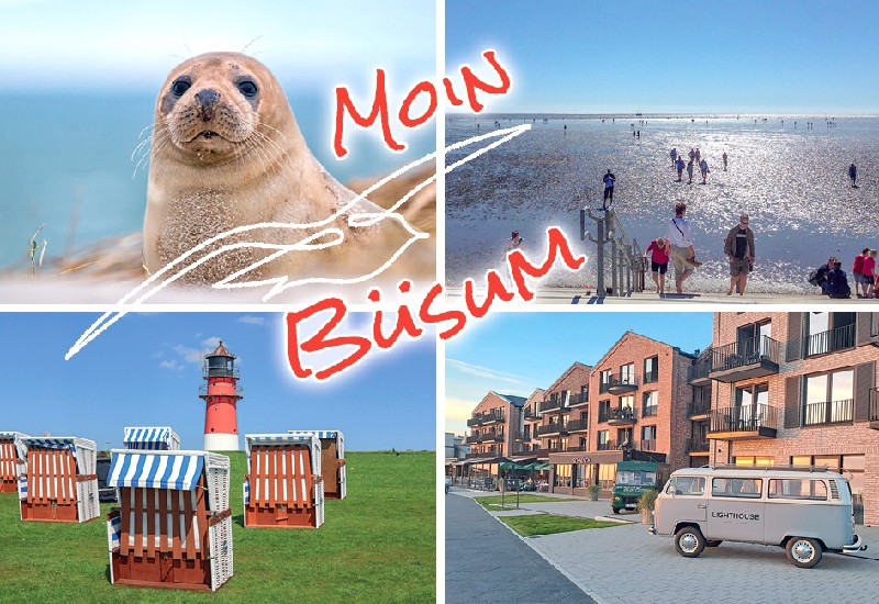 MAGN.BÜSUM,MOIN BÜSUM