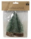 TANNENBAUM 2ER,HOLZSCHEIB