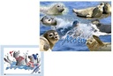 TISCHSET SEEHUNDE