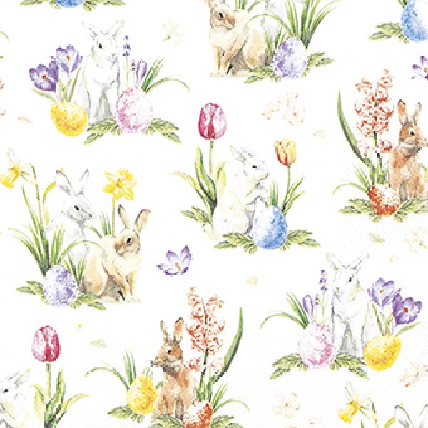 [67876] SERV.33X33CM,20ER,HOME FA