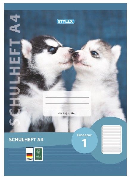 [220801] SCHULHEFT A4 LINEATUR 1