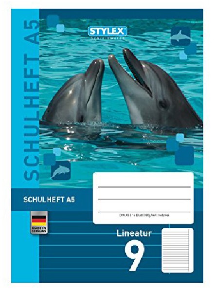 [220309] SCHULHEFT A5 LINEATUR 9