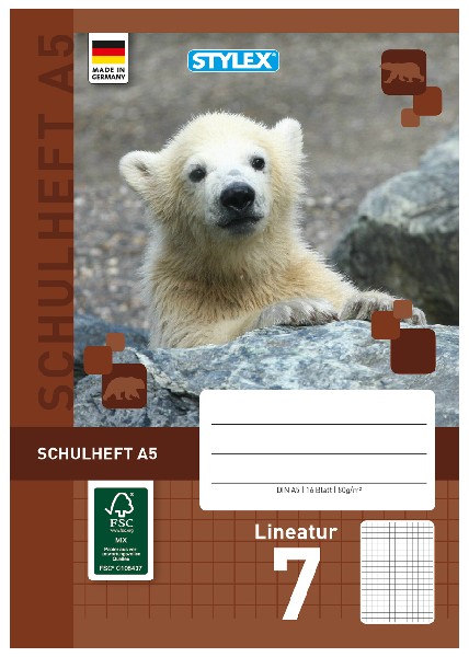 [220307] SCHULHEFT A5 LINEATUR 7