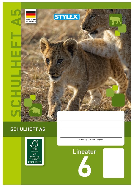 [220306] SCHULHEFT A5 LINEATUR 6