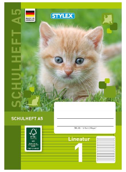 [220301] SCHULHEFT A5 LINEATUR 1