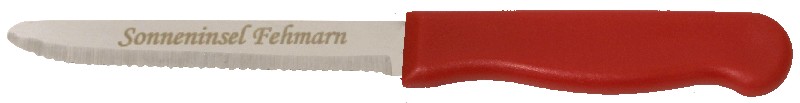 [850053] MESSER 23CM, M.LASERUNG