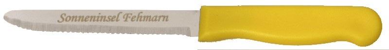 [850055] MESSER 23CM, M.LASERUNG