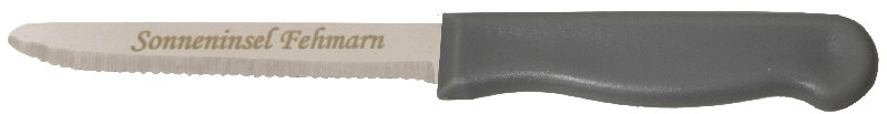 [850057] MESSER 23CM, M.LASERUNG