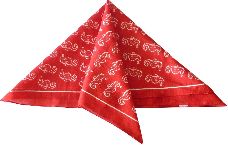[923614] N-T.SEEPFERD/ROT    50CM