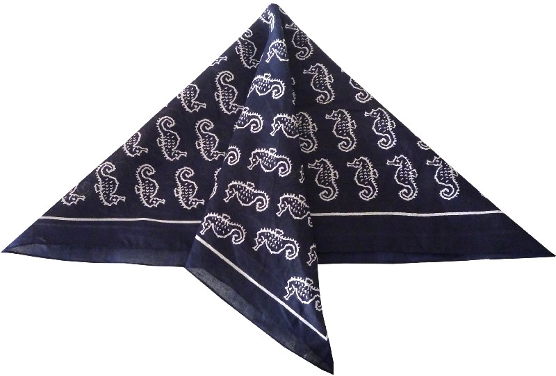 N-T.SEEPFERD/BLAU   50CM