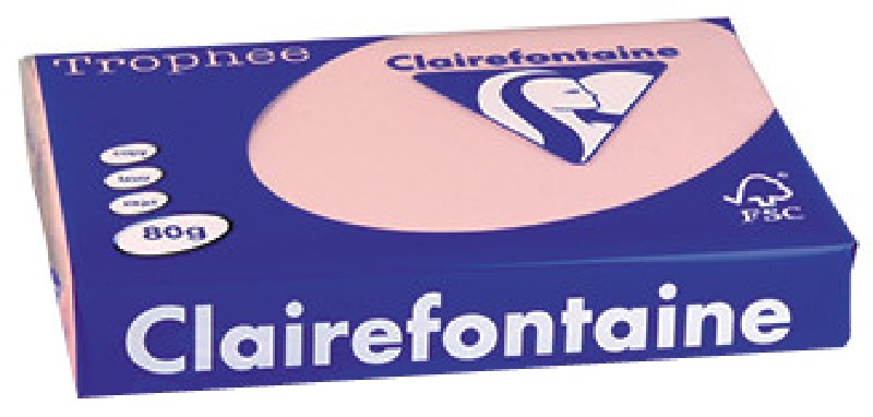 [981986] KOPIERPAPIER A4, ROSA