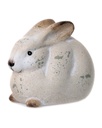 HASE SITZEND TERRA. 2SORT
