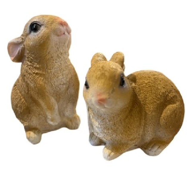 HASE POLY HOCKEND  2SORT.