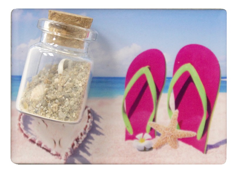 MAGN.FLIP-FLOP+SANDHERZ