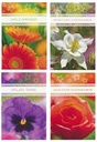 KARTE, ALLGEMEIN, BLUMEN