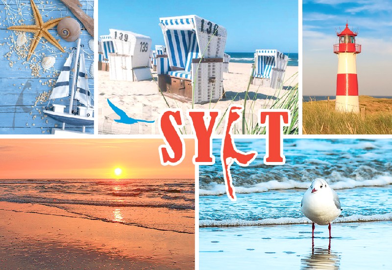 MAGN.SYLT,5 BILDER,