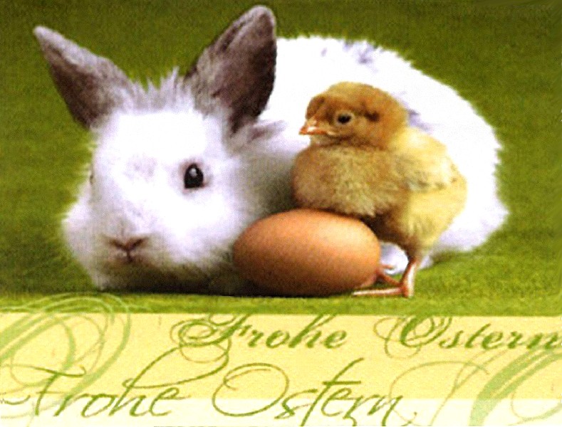 SERV.33X33CM 20ER, OSTERN