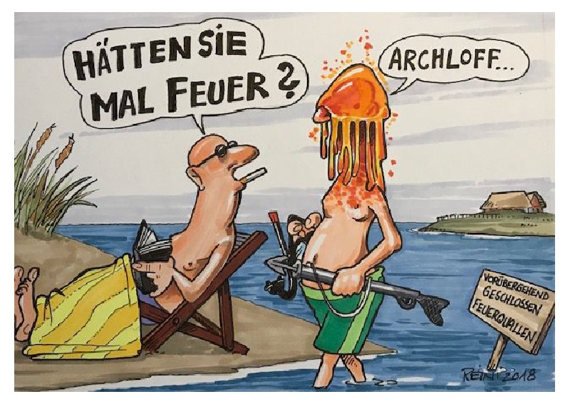 AK.COAST,STRANDFEUER  138