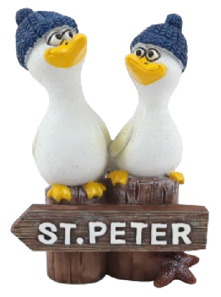 MÖWE,(2)SCHILD,ST.PETER