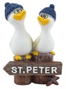 MÖWE,(2)SCHILD,ST.PETER