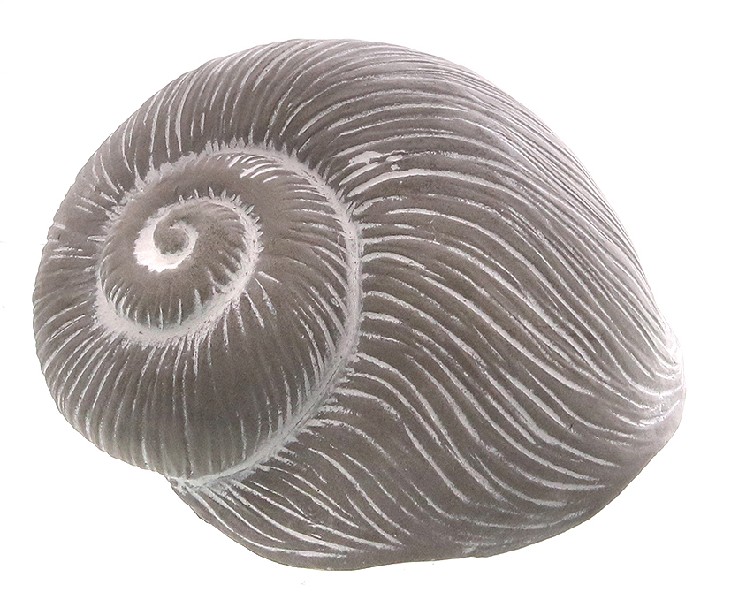 MUSCHEL, BETON,14,5CM