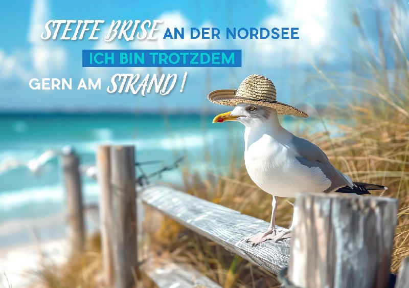 AK.NORDSEE,BRISE  NORD18