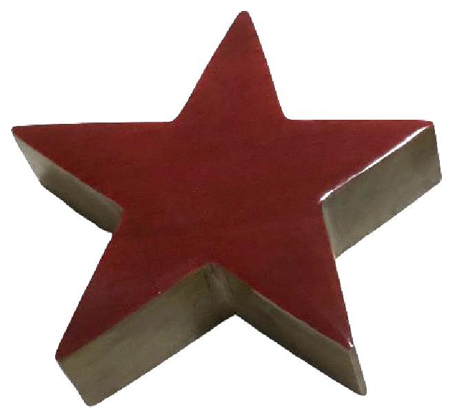 [13426] STERN 15CM LACK ROT