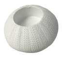 T-LI.HALTER,SEEIGEL,2FA.