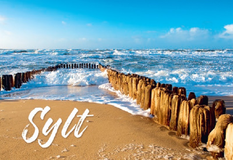 [393234] MAGN.BUHNEN, SYLT