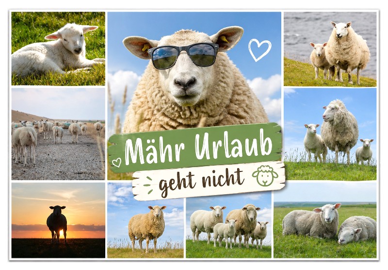 MAGN.MÄHR URLAUB,9BILDER