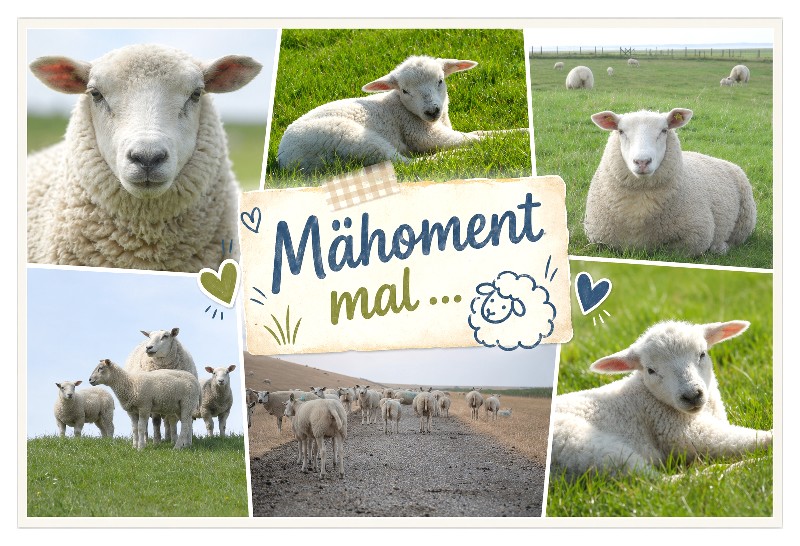 MAGN.MÄHOMENTMAL,6BILDER