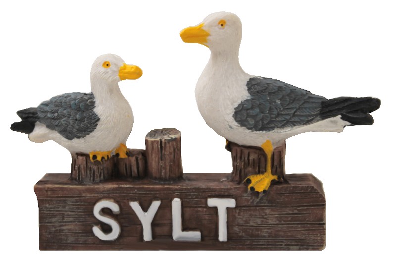 MÖWEN,SCHILD/POLLER,SYLT