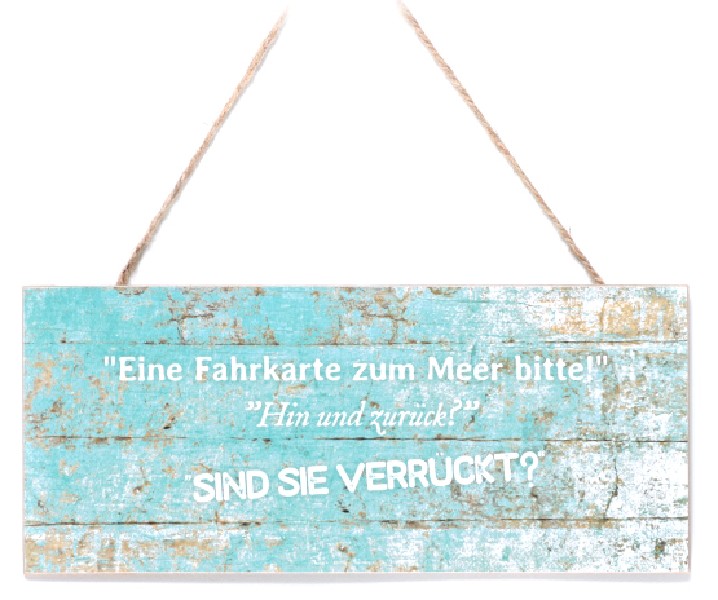 SCHILD,FAHRKARTE,30X13CM