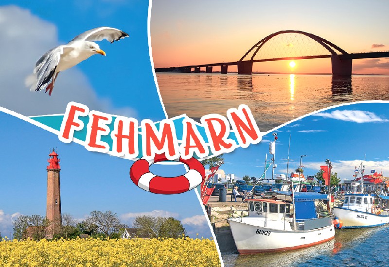 MAGN.FEHMARN 4TLG.