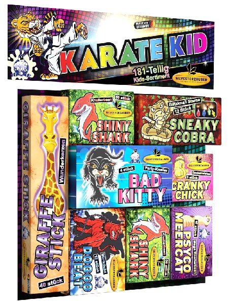 [84910] KARATE KID,JUGEND-FW.181T
