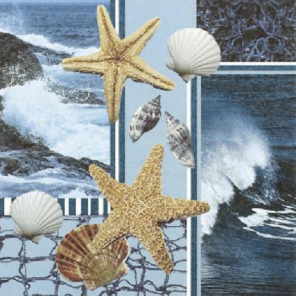 SERV.24X24CM,20ER,TI-FLAI